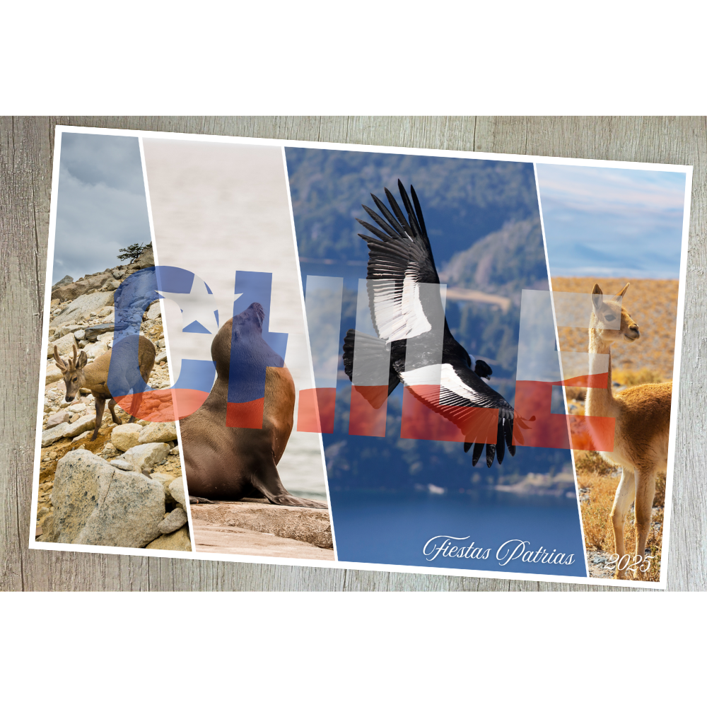 Individual Animales de Chile