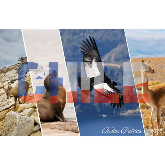 Individual Animales de Chile